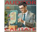 Auditor în domeniul calității - Curs online autorizat