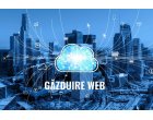 Megahost.ro -  soluții de găzduire web complet gestionate