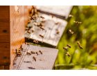 ONG-urile din Prahova au șansa să se unească într-o federație