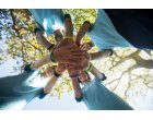 Team building in Bucuresti - 4 idei de activitati inovative pentru echipa ta
