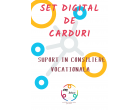 Set digital de carduri - suport in consiliere vocationala