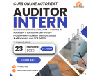 Curs Audiitor intern