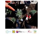 „Dezbatere și Acțiune pentru Slobozia” – proiectul care a transformat ideile elevilor în schimbări reale pentru comunitate