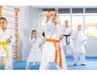 5 beneficii ale practicării karate-ului pentru corp și minte