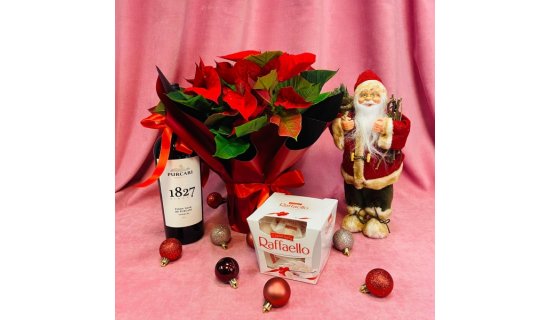 Decoruri florale de Crăciun: poinsettia, coronițe și aranjamente