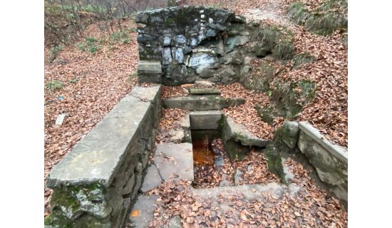 „Izvor de Sănătate” – inițiativă de revitalizare a Izvorului Pădurea Neagră din județul Bihor, prin voluntariat și implicare comunitară