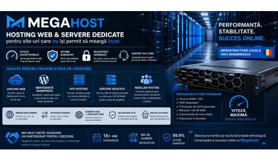 Hosting web și servere dedicate pentru site-uri care nu își permit să meargă încet