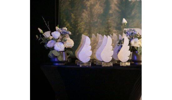 Gala BrandRO 2026. Care sunt cele mai puternice branduri românești